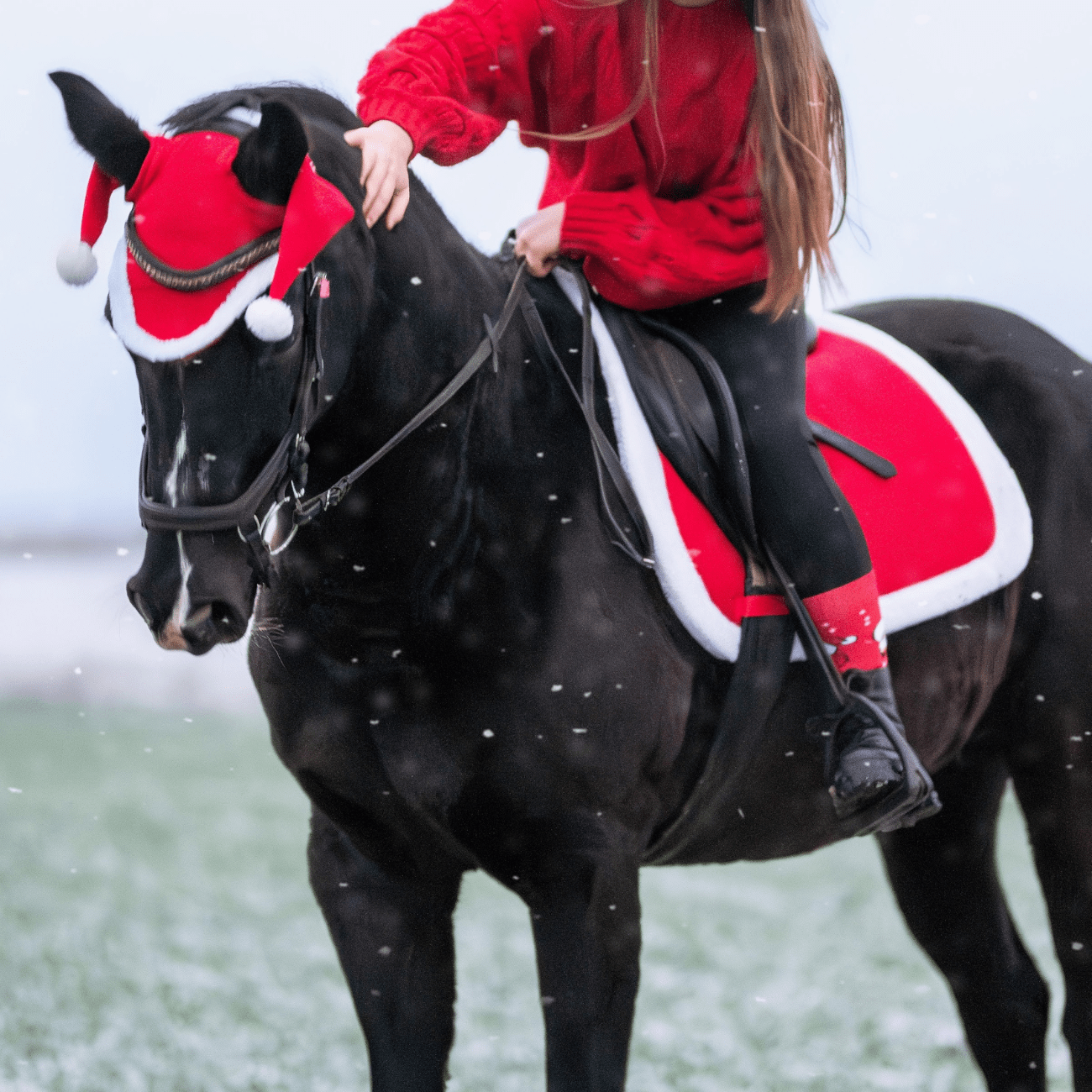 Vianočná podsedlovka York