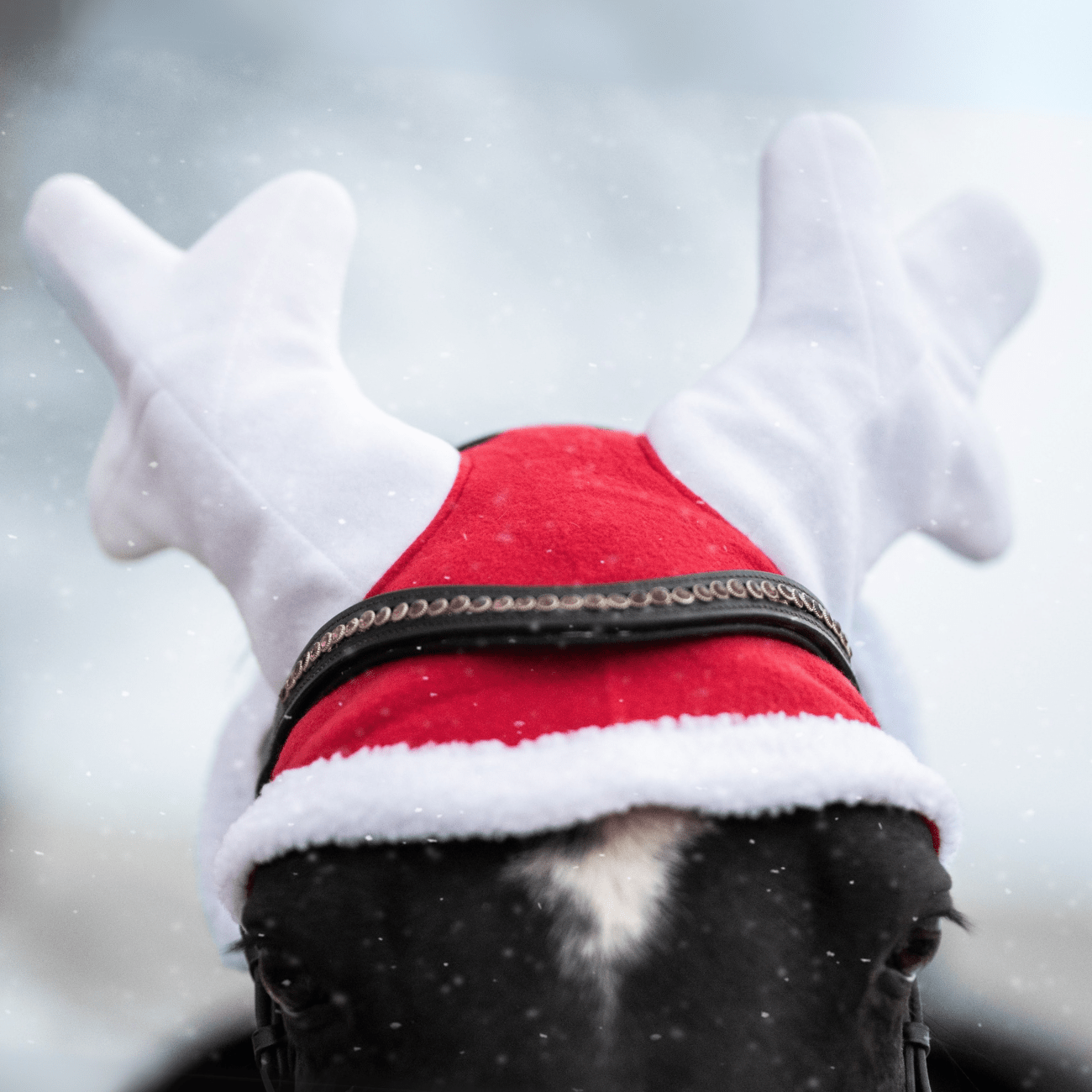 Vianočná ušaňa s rohami York Renifer