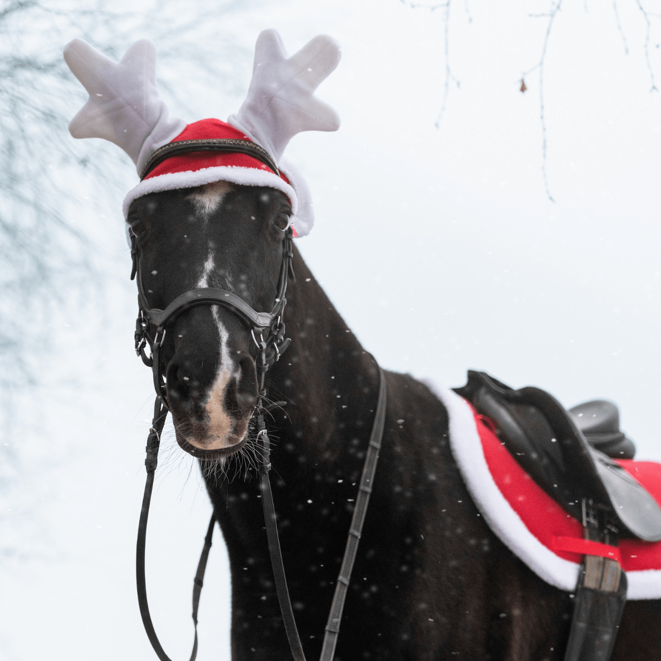Vianočná ušaňa s rohami York Renifer